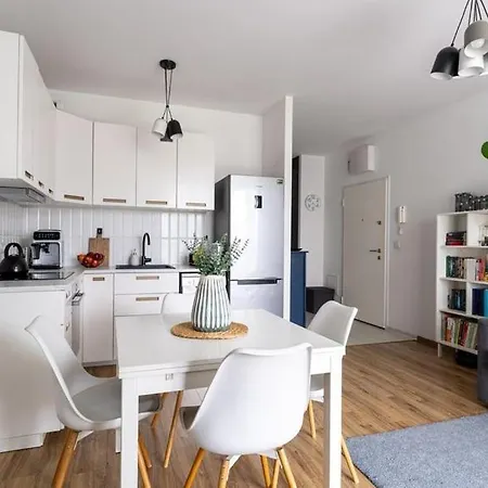 Apartment Aprtament Pe Centru